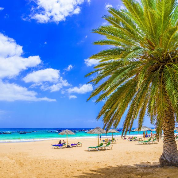 See offers to travel to Canary Islands