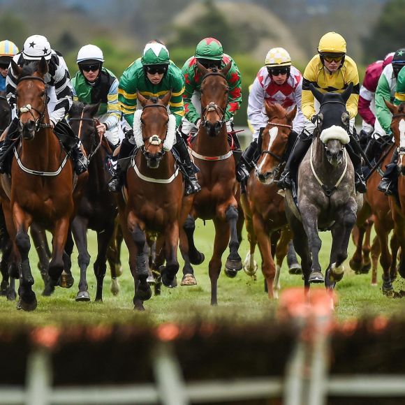 See offers to travel to Horse Racing