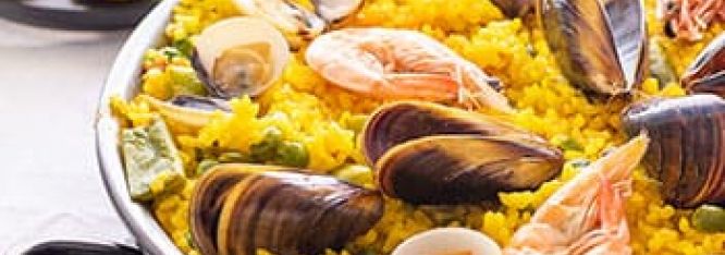 Food, Culture, & Experiences 