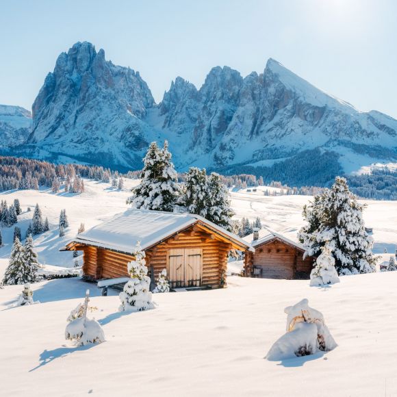 See offers to travel to Italy