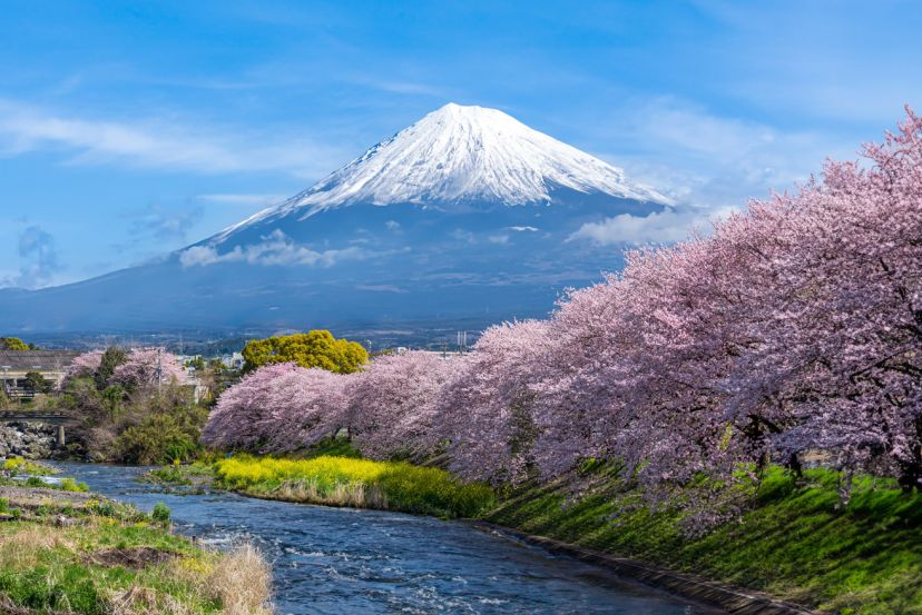 Japan Discovery