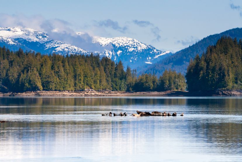 Alaskan Cruise from Vancouver with Cassidy Travel