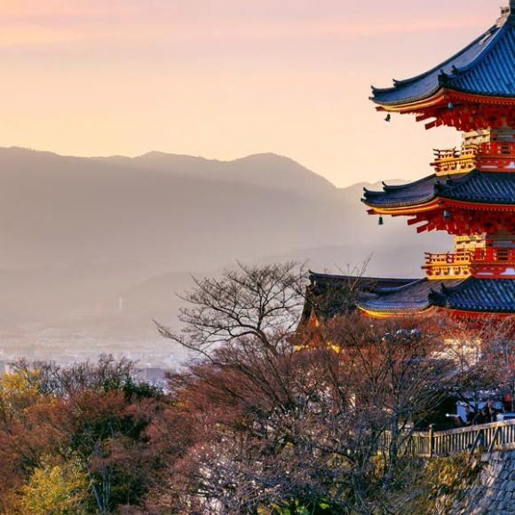See offers to travel to Kyoto