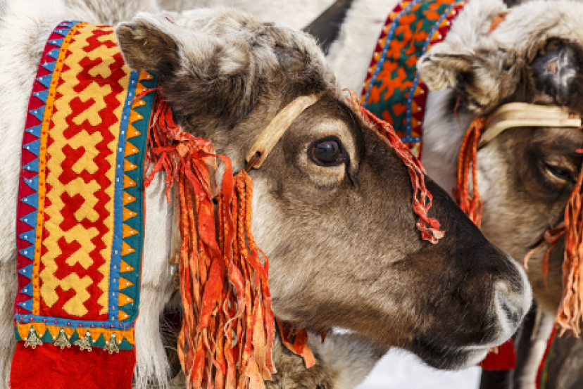 Visit Santa - Lapland 3 nights trip
