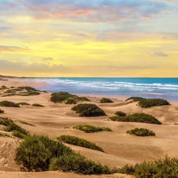 See offers to travel to Agadir