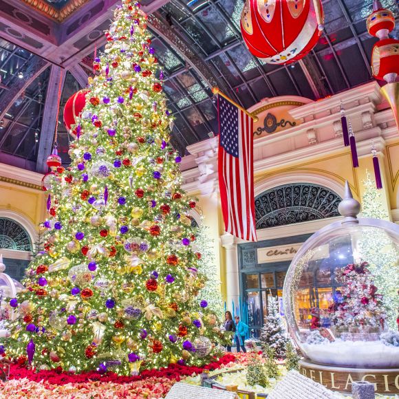 See offers to travel to Las Vegas