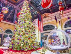 Christmas Holidays 2023