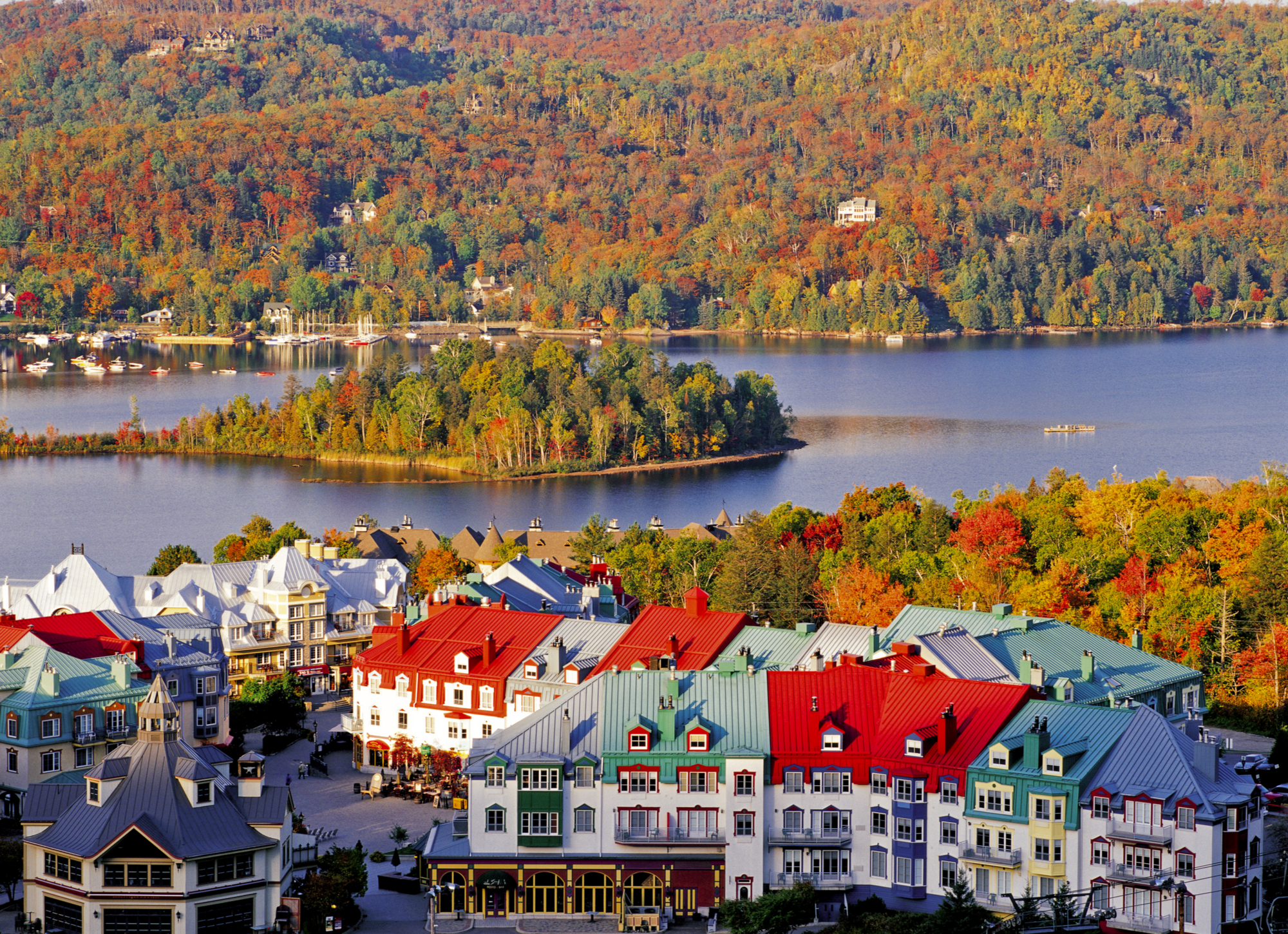 Хординг. Квебек Канада. Лес Квебек Канада. Mont-Tremblant National Park. Канада Лаврентийский национальный парк.