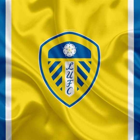 See offers to travel to Leeds Match Breaks