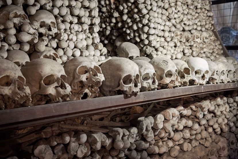 Les Catacombes with Cassidy Travel