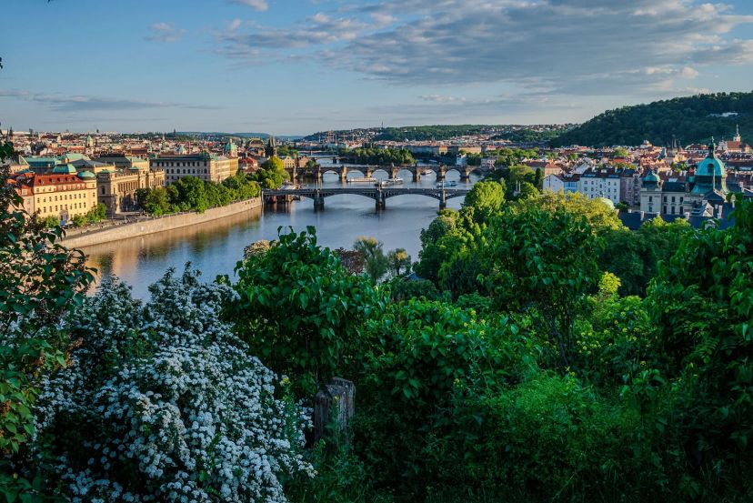 Letná Park with Cassidy Travel