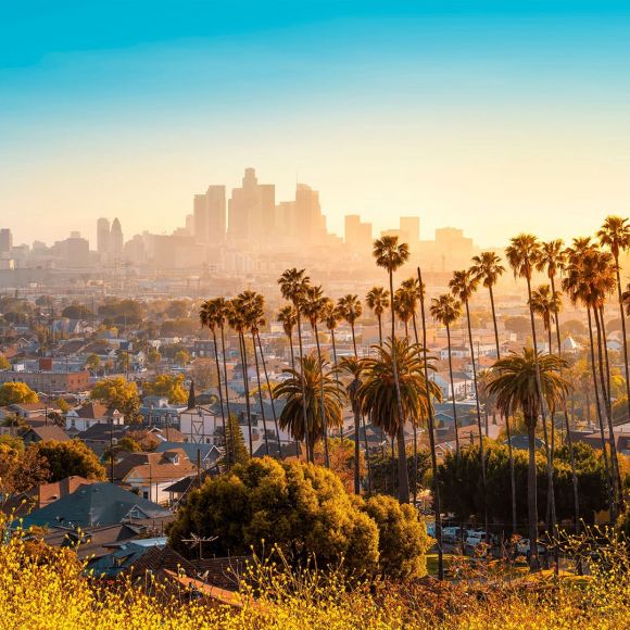 See offers to travel to Los Angeles
