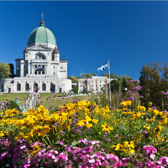 See offers to travel to Montreal