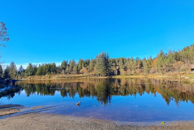 Mount Fløyen with Cassidy Travel