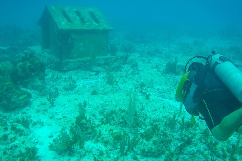 MUSA Underwater Museum with Cassidy Travel