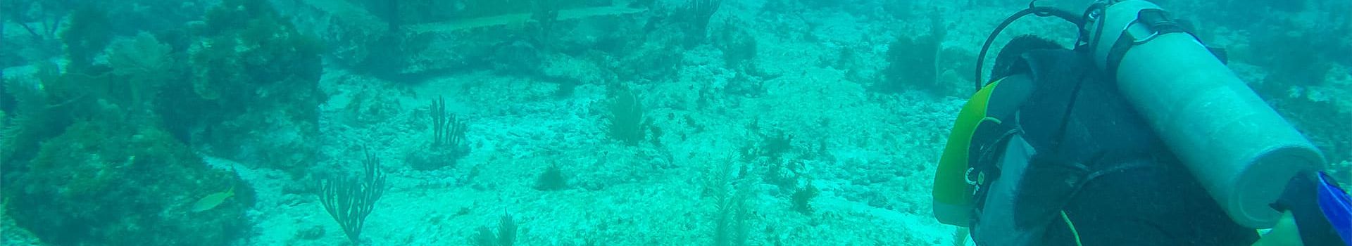 MUSA Underwater Museum 