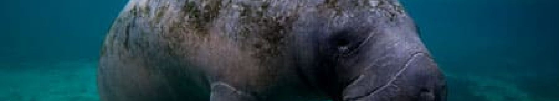 Nature & Wildlife Experiences You’ll Never Forget