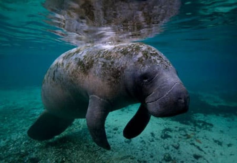 Nature & Wildlife Experiences You’ll Never Forget