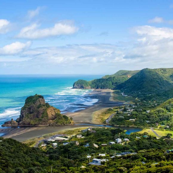 See offers to travel to New Zealand