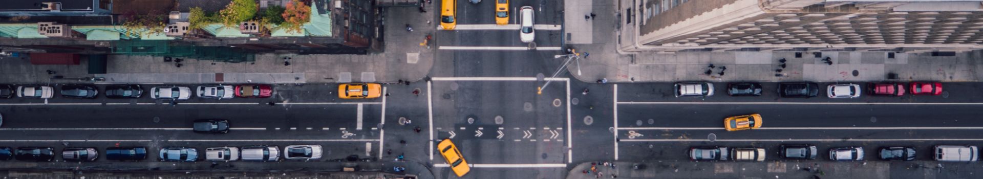 Discover your own slice of New York City
