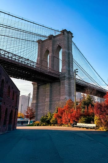 NYC Things to Do & Attractions 