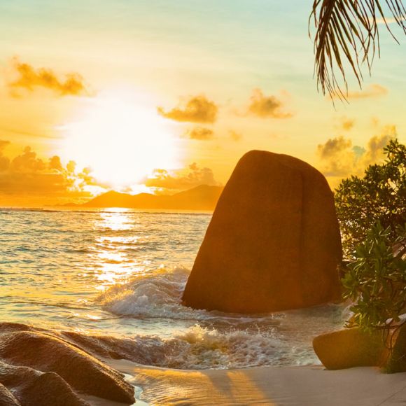 See offers to travel to October