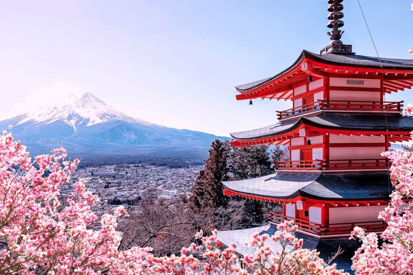 Best of Japan and South Korea Fly/Cruise with Cassidy Travel