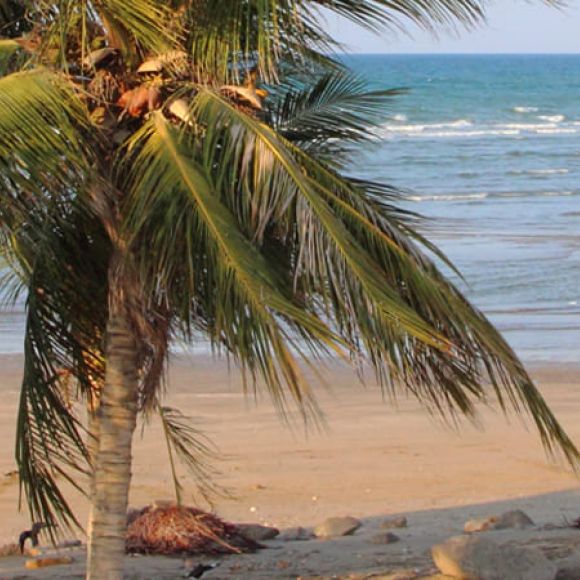 See offers to travel to Oman