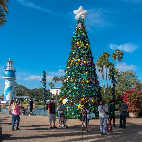 See offers to travel to Orlando