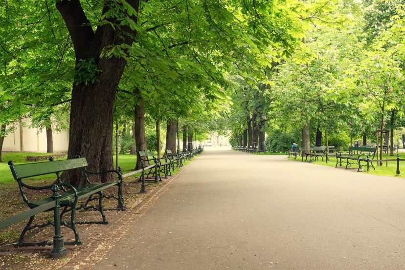 Planty Park with Cassidy Travel