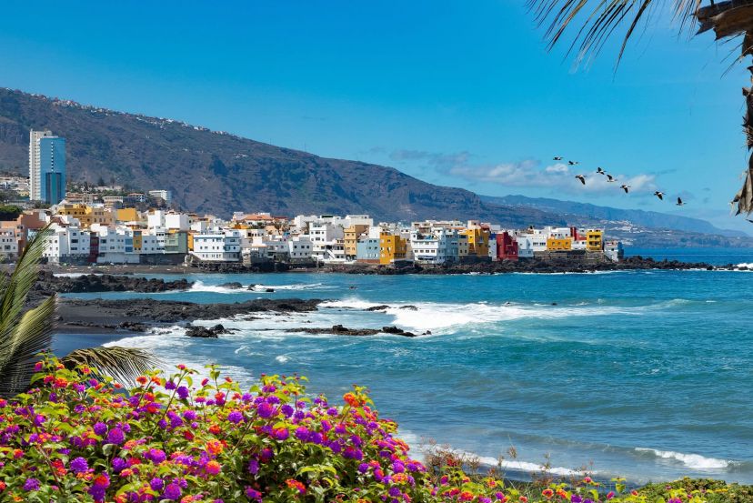 Puerto de la Cruz with Cassidy Travel
