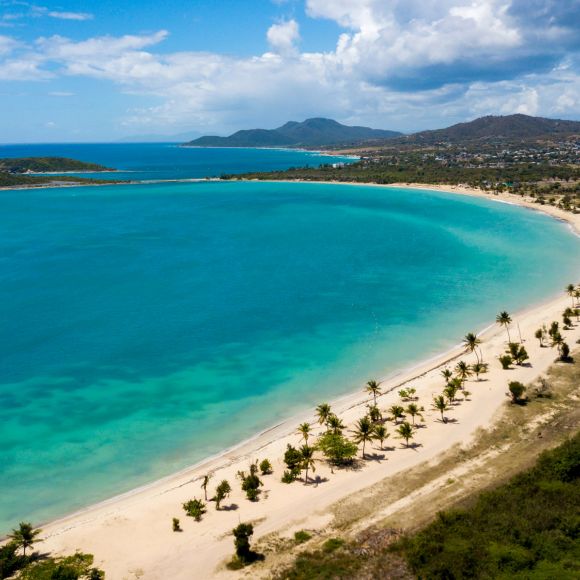 See offers to travel to Puerto Rico