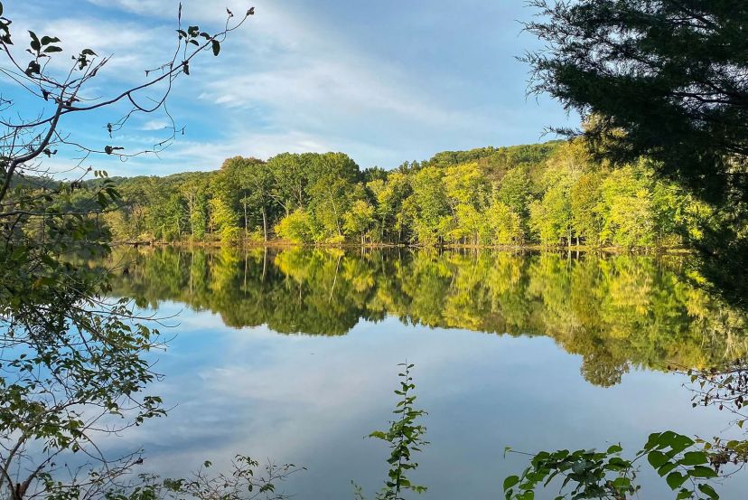 Radnor Lake State Park with Cassidy Travel