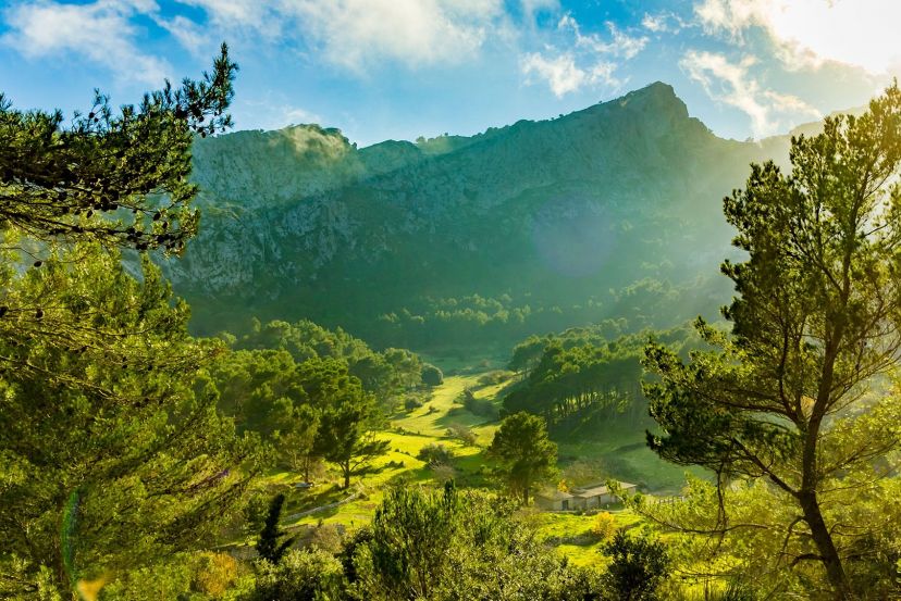 Serra de Tramuntana with Cassidy Travel