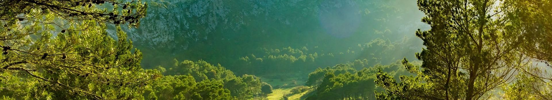 The Serra de Tramuntana holidays