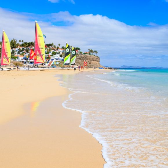 See offers to travel to January