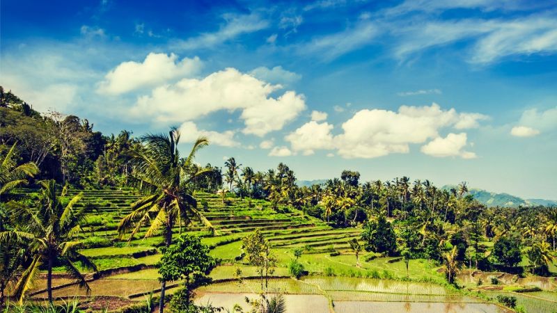 Bali