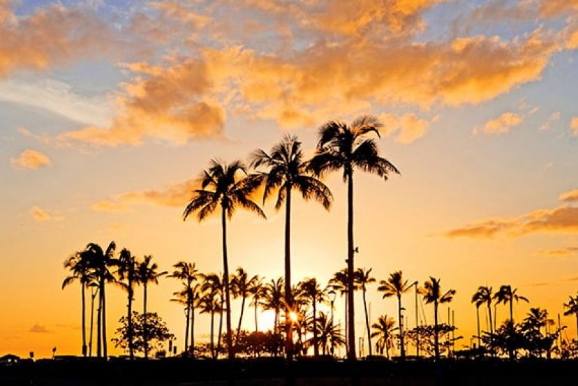 Los Angeles & Hawaiian Islands Fly/Cruise  with Cassidy Travel