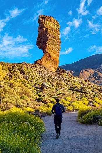 Tenerife Things to Do & Attractions