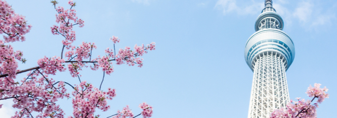 Things to do in Tokyo