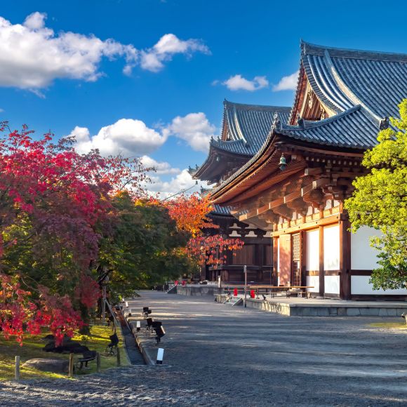 See offers to travel to Tokyo