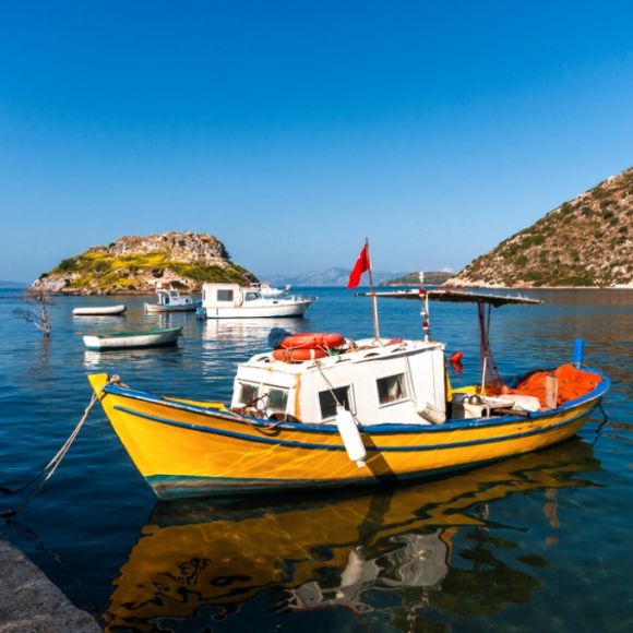 See offers to travel to Turkey