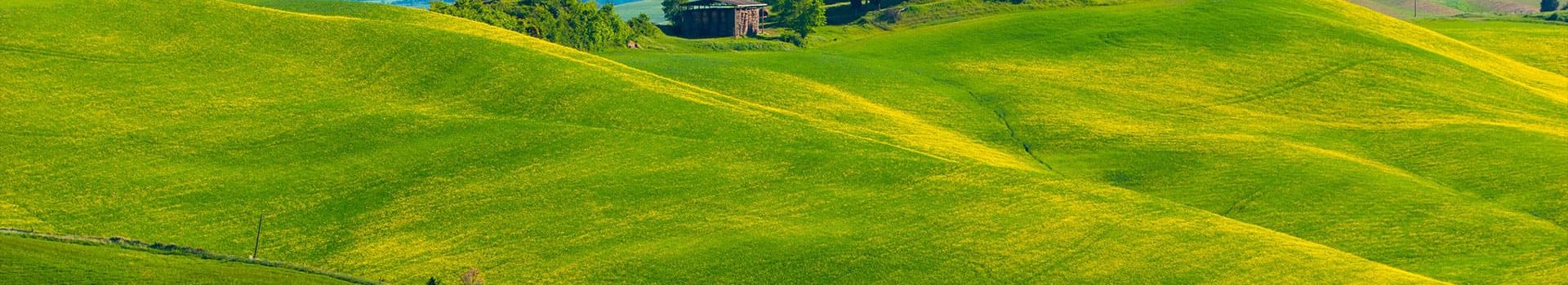 Tuscan Countryside