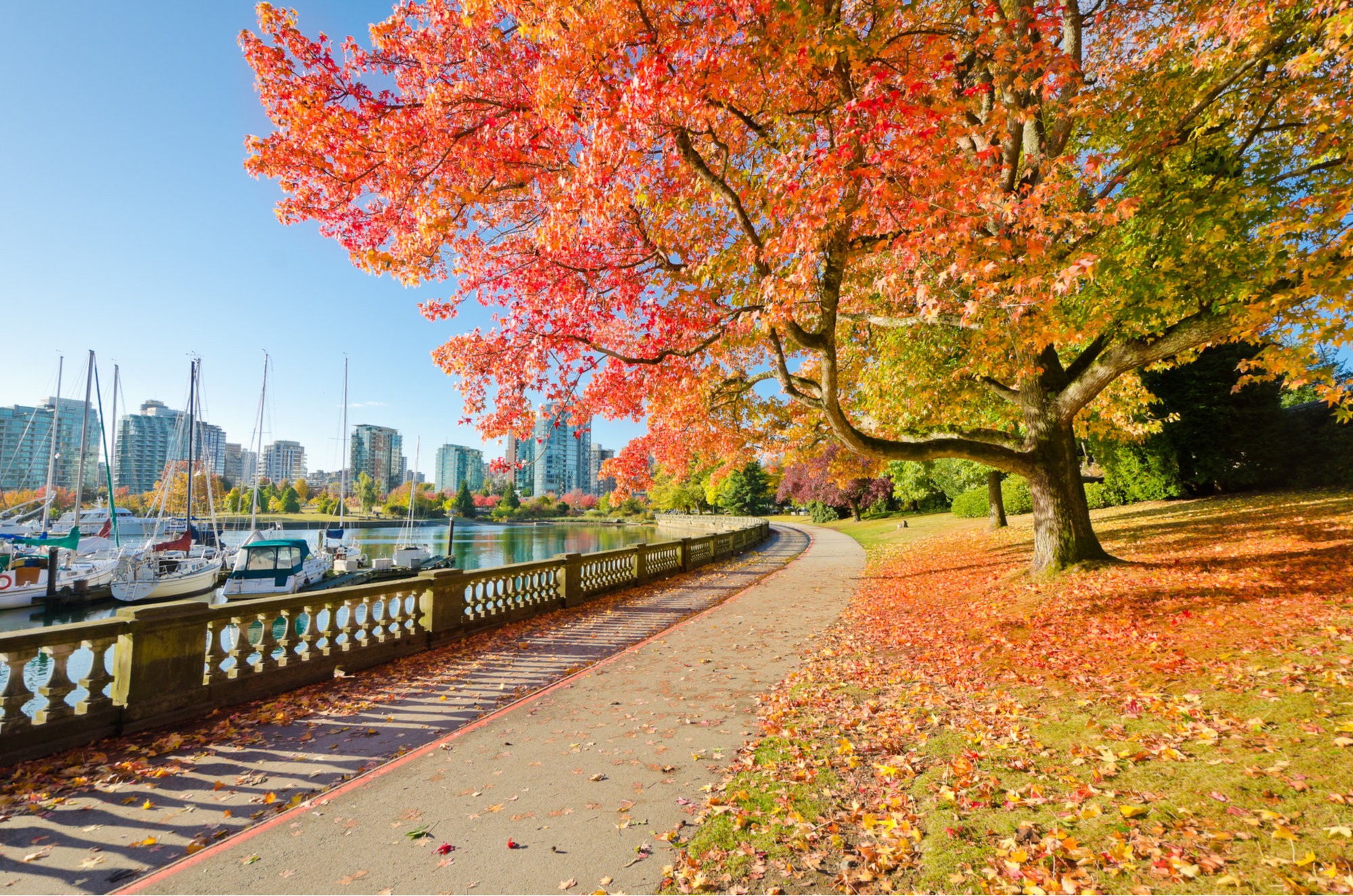 vancouver travel guide