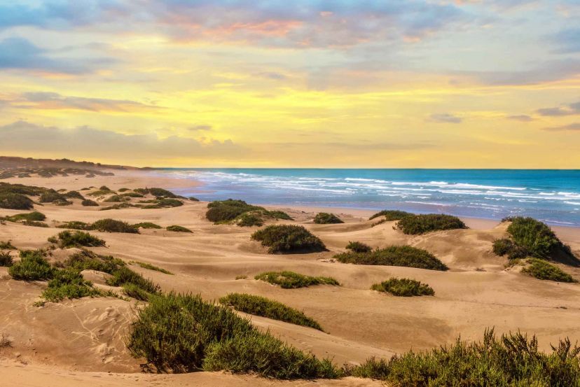 Canary Islands & Morocco Fly/Cruise with Cassidy Travel