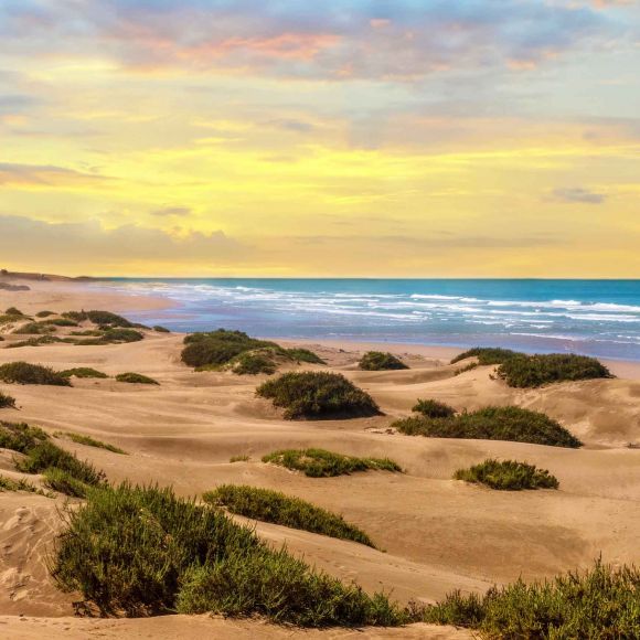 See offers to travel to Morocco