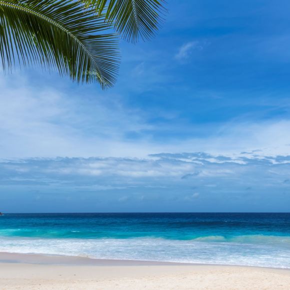 See offers to travel to Cheap Year Round Holidays