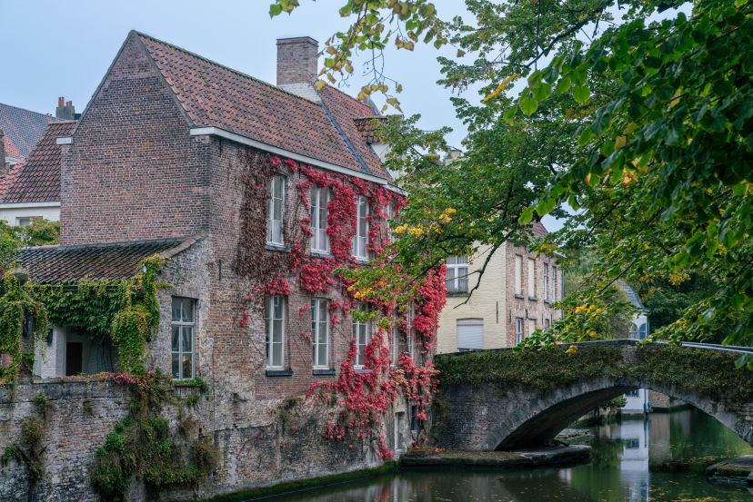Short Sailing to Belgium from Southampton with Cassidy Travel
